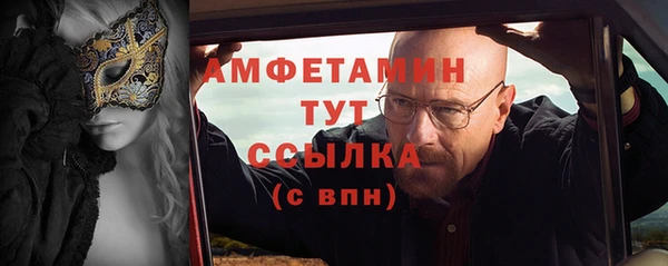 крисы Тайга
