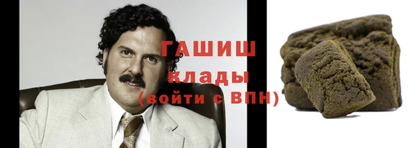 гидра Суровикино