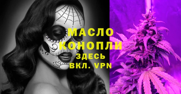 мдпв Болотное