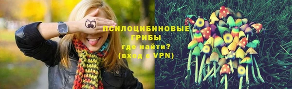 2c-b Сураж
