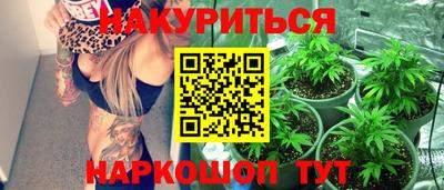 гашик Аргун
