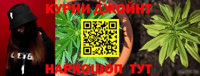гашик Аргун