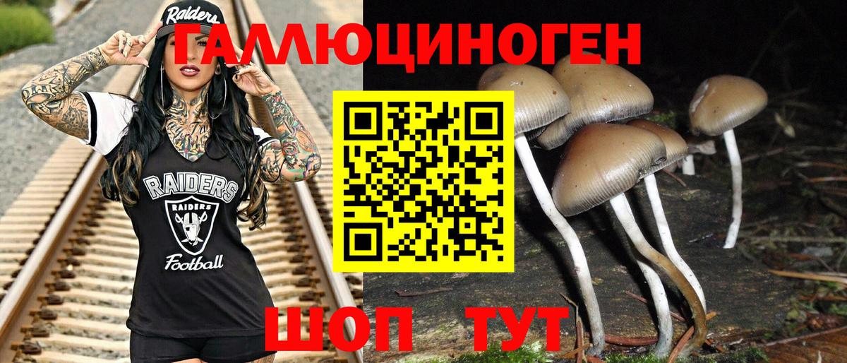 Псилоцибиновые грибы мицелий Балашиха