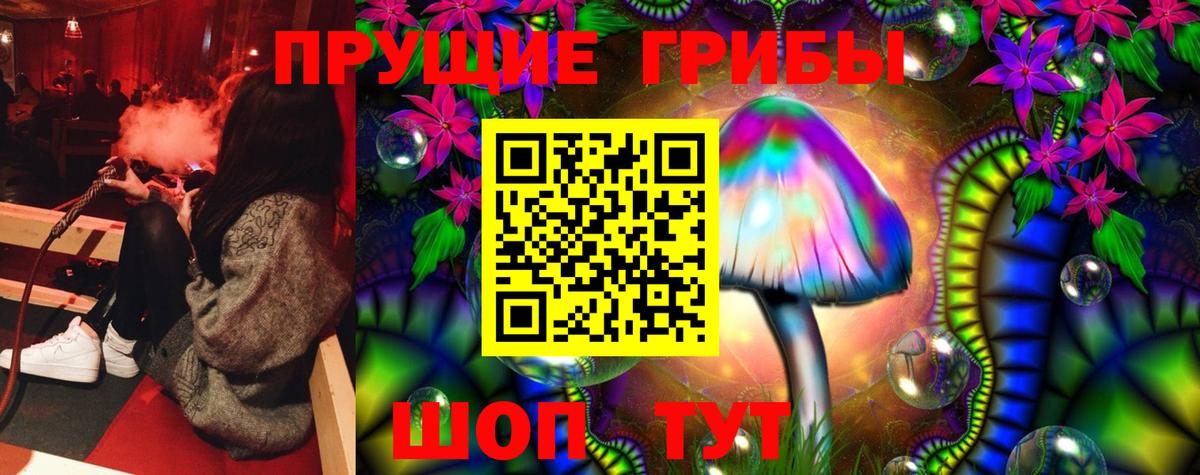 Псилоцибиновые грибы Psilocybe Балашиха