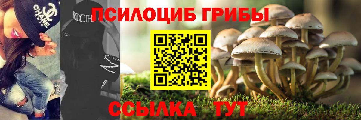 Псилоцибиновые грибы Psilocybine cubensis  Балашиха 